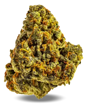 AphriaRX Cannabisblüten THC28 AMH