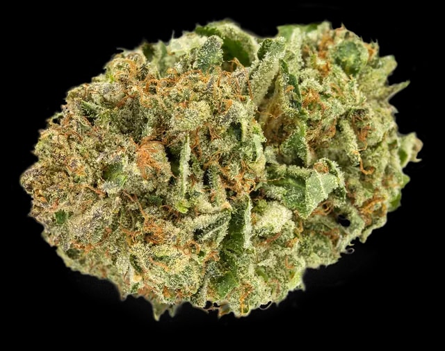 Tilray Cannabisblüten THC25 Hybrid No.2