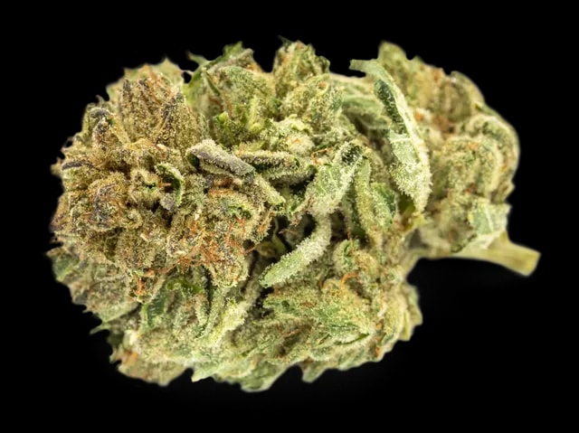 Tilray Cannabisblüten THC25 Indica No.2