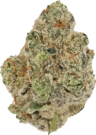 Cannamedical Indica Classic ZAF