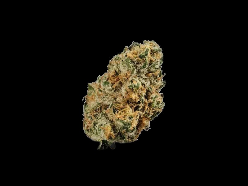 Eufloria 30/1 SFR