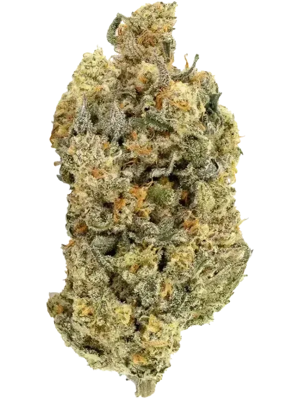 Organic Sweetgrass CB 25/1