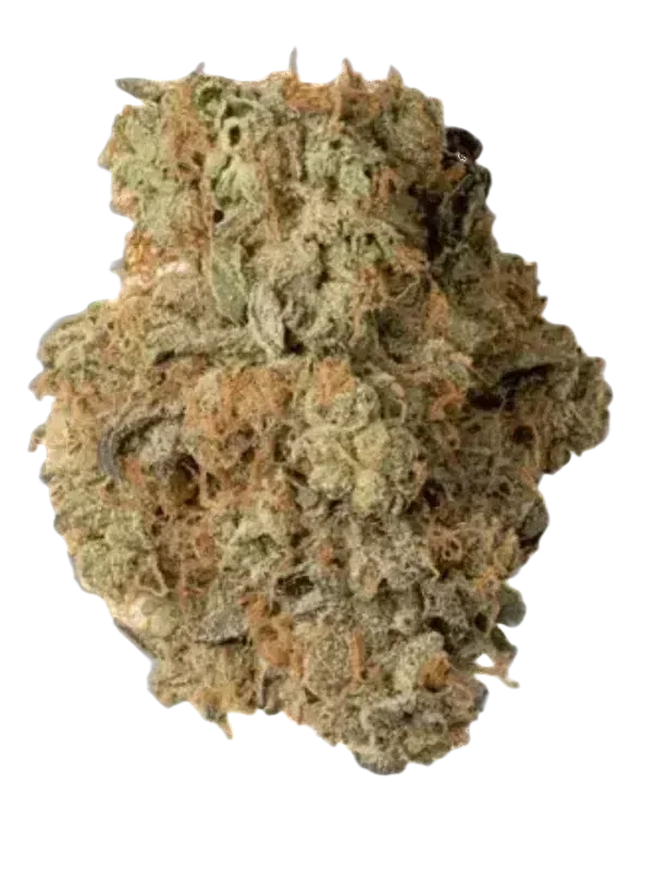 Origine Nature MED 32/1 Medellin