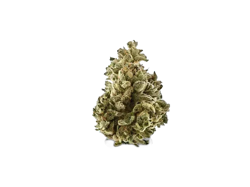 Banana Cream Herbery SC 26/1