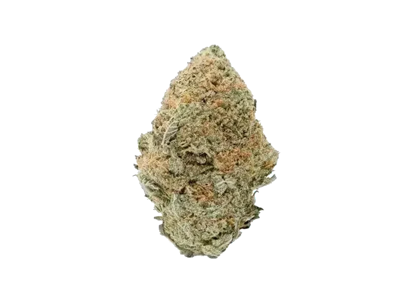 ZOIKS 26/1 UKCC