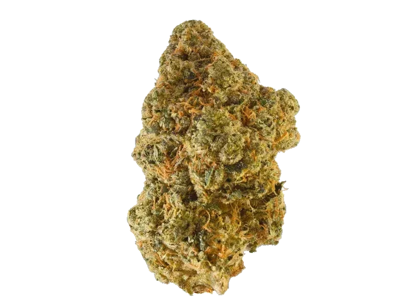 Truth Holdings LH 29/1