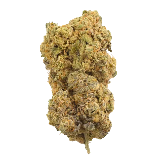 J.R. Strain GW 36/1