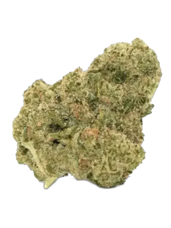 Green Karat SD 26/1