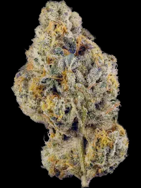 J.R. Strain GT 25/1
