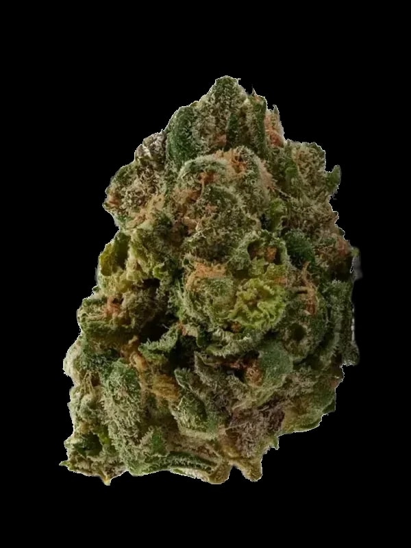 Ceres No. 2 25/1
