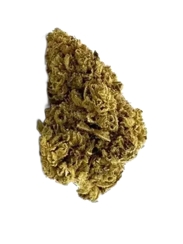 Green Karat SD PT
