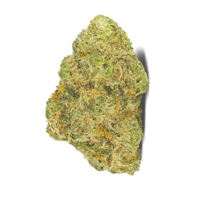 San Raf 31/1 CFK Campfire Kush