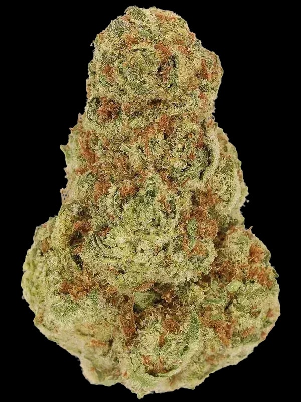 24/1 IUVO OC Ice Burn