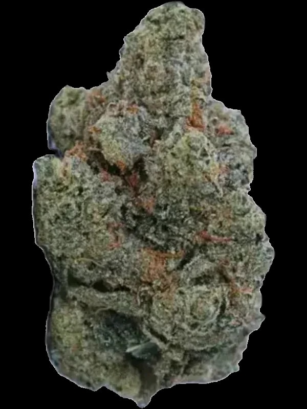 Remexian 24/1 CKE FLV