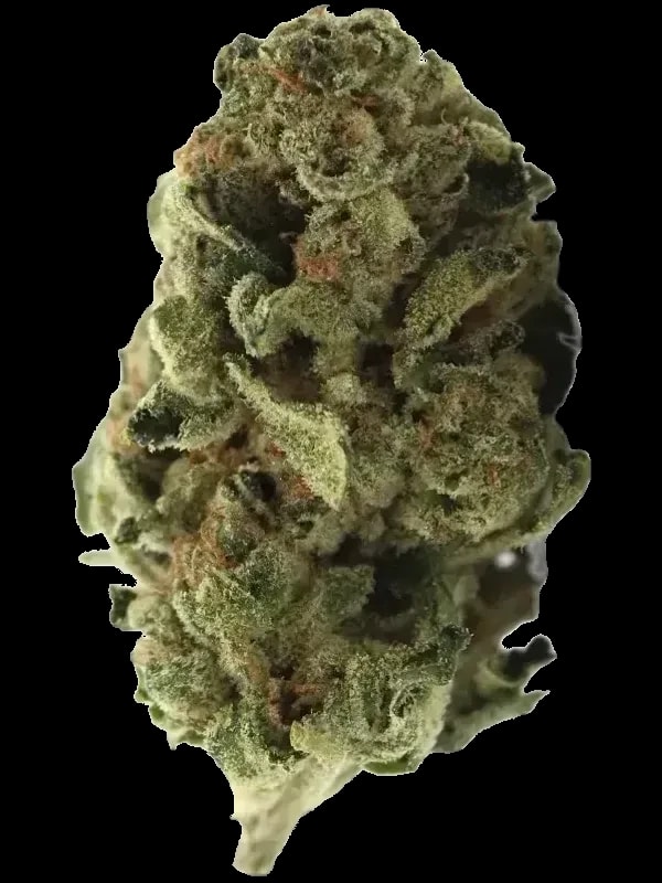 Eufloria 30/1 RCC
