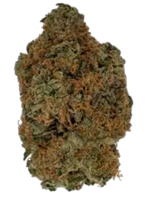 Social Choice! 27/1 ALB KMU Mountain Kush