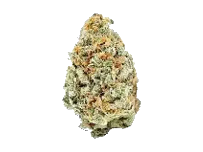 mediproCan Frosty Peaks 26/1 SO