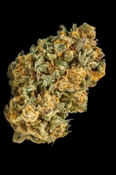 mediproCan Frosty Peaks 28/1