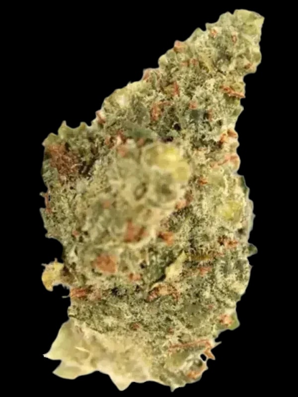 MediproCan Calyx Pure 28/1 OG