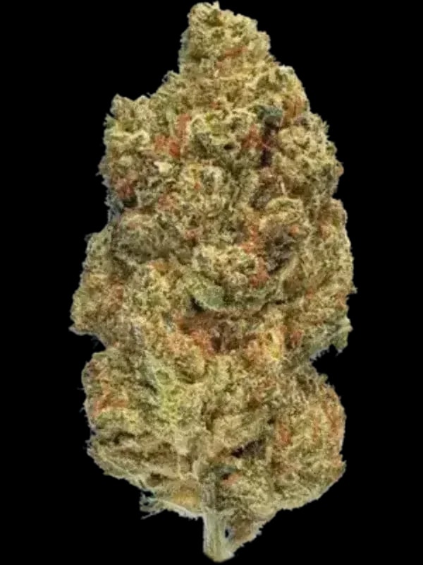 Weeco Big Purple Dragon 26/1