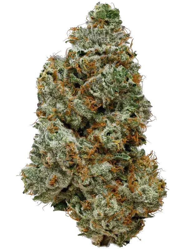 Weeco Cannabis 1A 16/1
