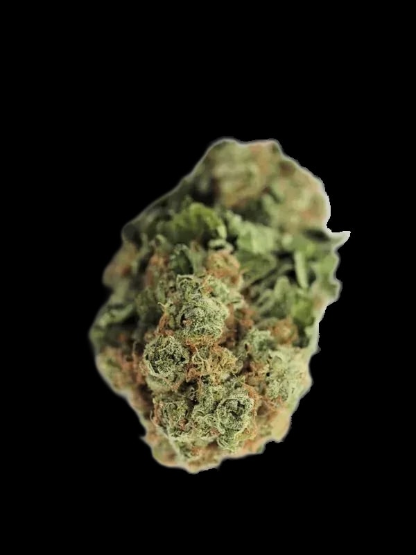 Cannabis 1A 18/1