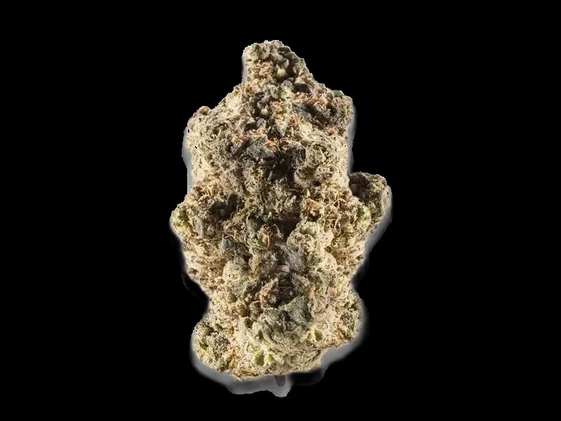 WEECO 23/1