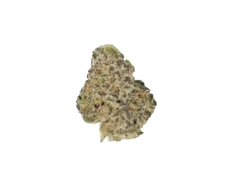 Bediol