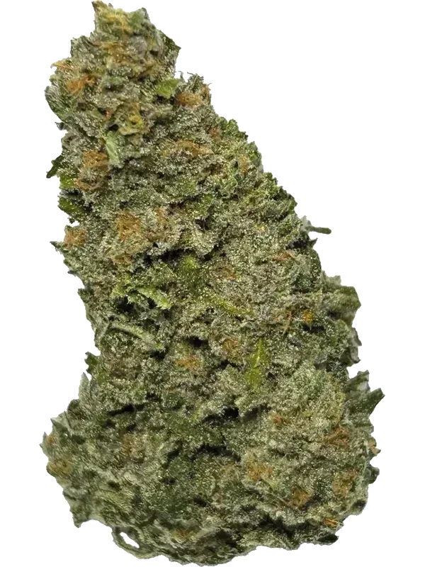 Bedrobinol Cannabis Flos 14/1