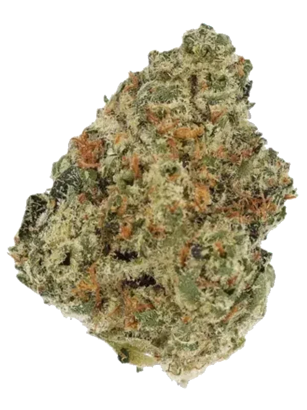 Bedrocan Cannabis Flos 25/1