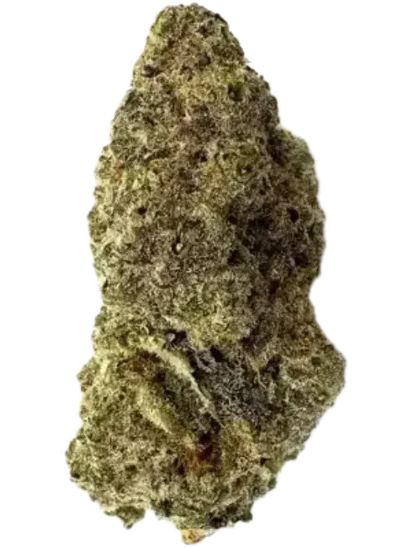 420 Evolution 25/1 CA MAC