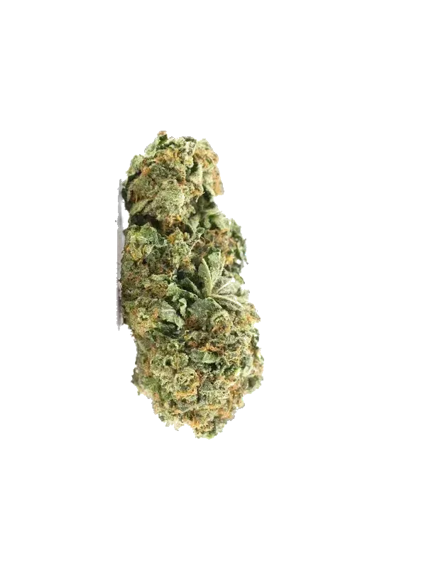 420 Evolution 27/1 CA WES