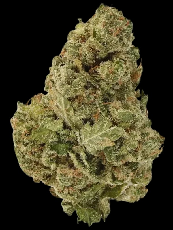 420 Natural 22/1 CA ZRP