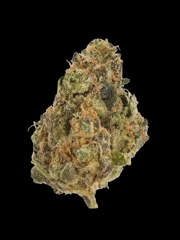 420 Evolution 30/1 CA FFC
