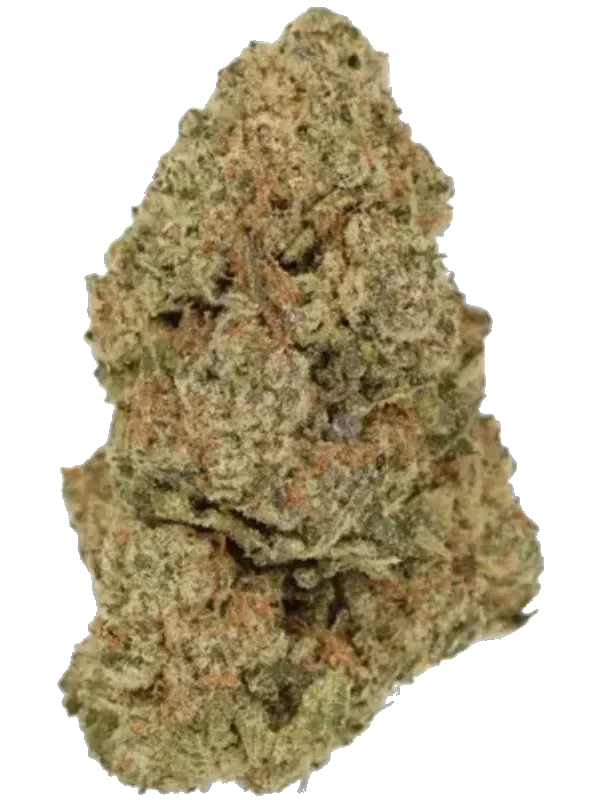 420 Evolution 27/1 CA FRG