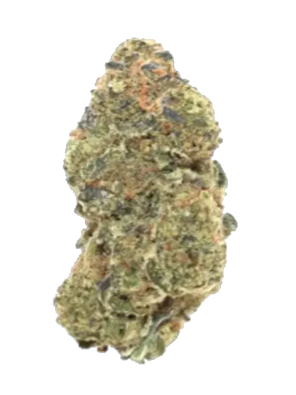 420 Evolution 20/1 CA PVB