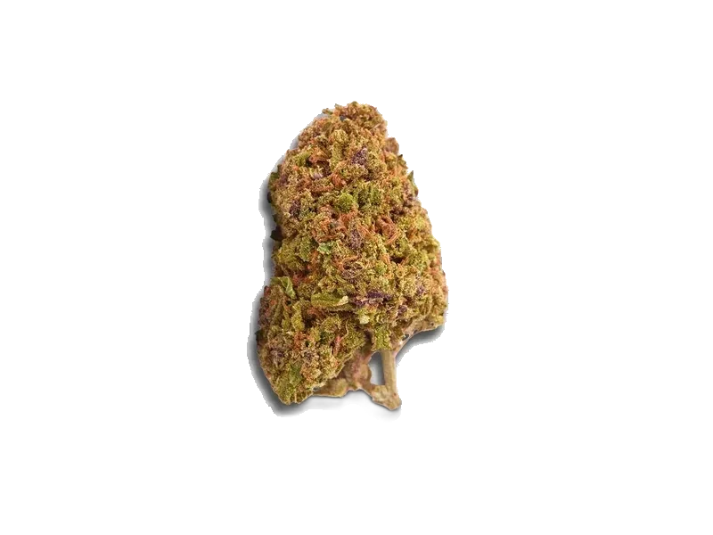 420 Evolution 22/1 PVB