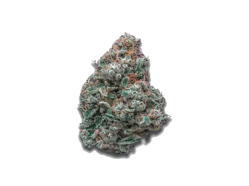 420 Evolution 27/1 CA MFG