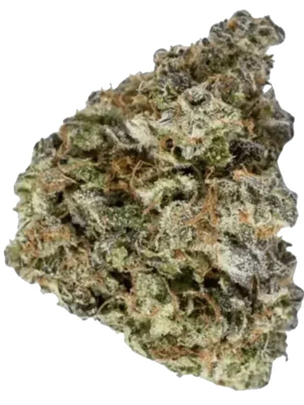 enua 27/1 DGB CA