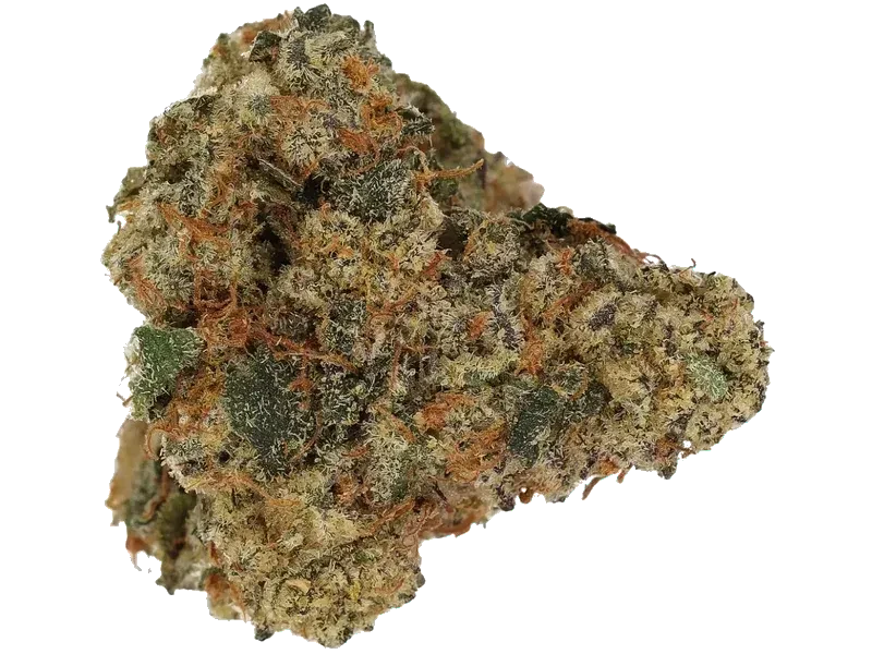 enua 22/1 FPW CA