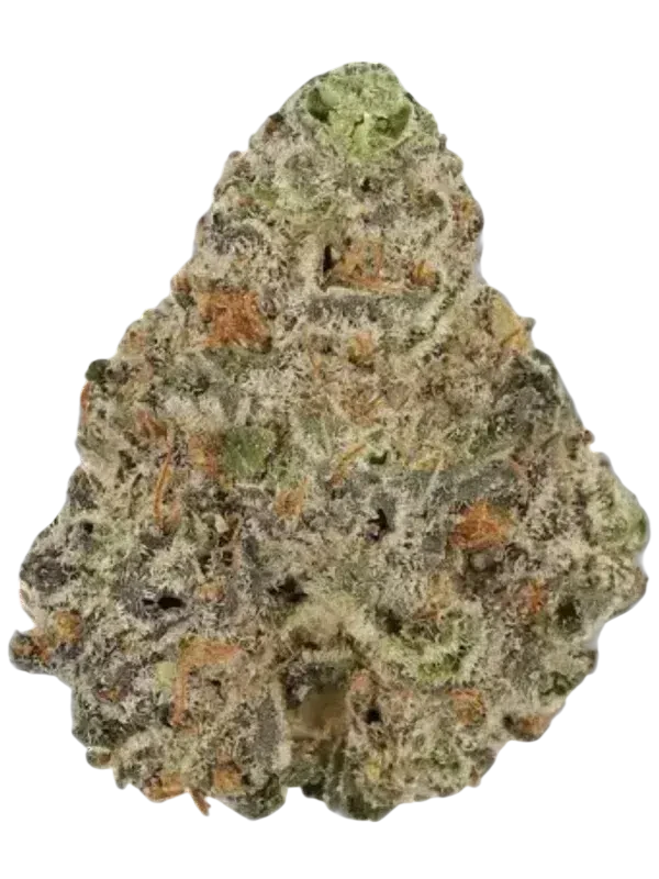 420 Evolution 30/1 CA ICC