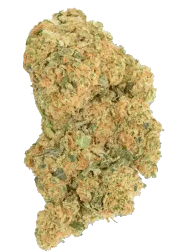BOTANICS Golden Ace 20/1