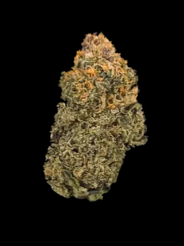 Cannovum Natura PMK-PT 26