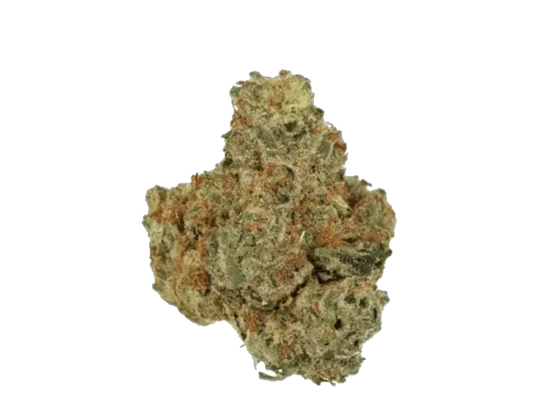Sibanax SHB 26/1 Shishkaberry