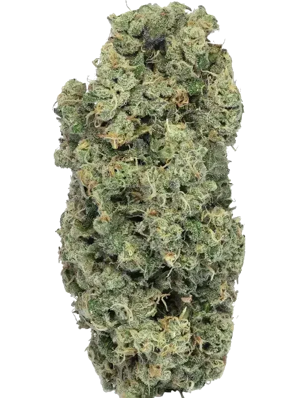 Soma OG 30/1 PF