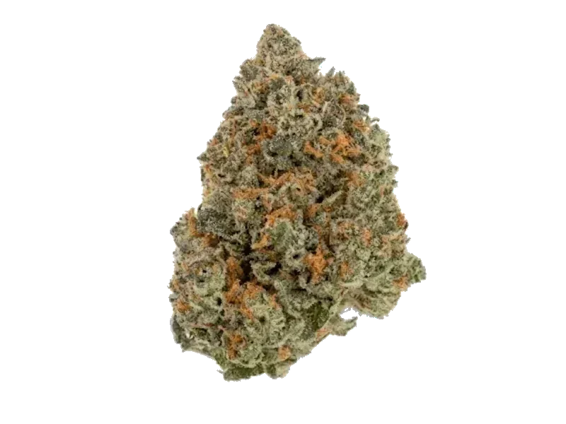 Soma OG 30/1 BCP Black Cherry Punch