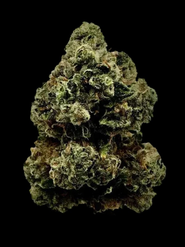 slouu 30/1 CDO