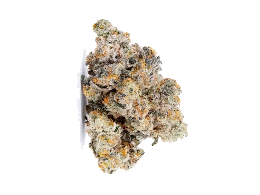 Bathera 27 CA E85