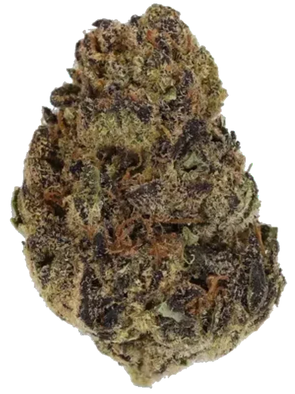 aleph Matterhorn 21/1