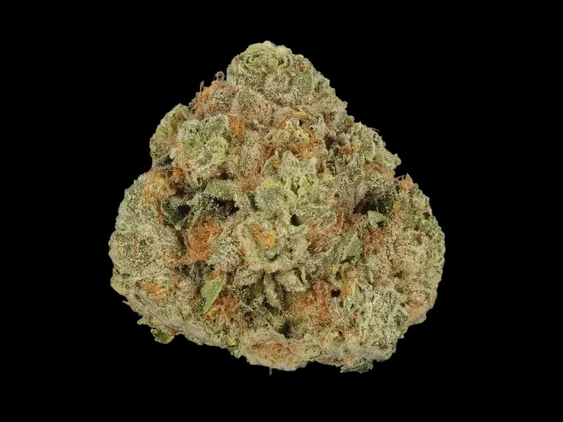 Cannamedical Sativa Classic AU